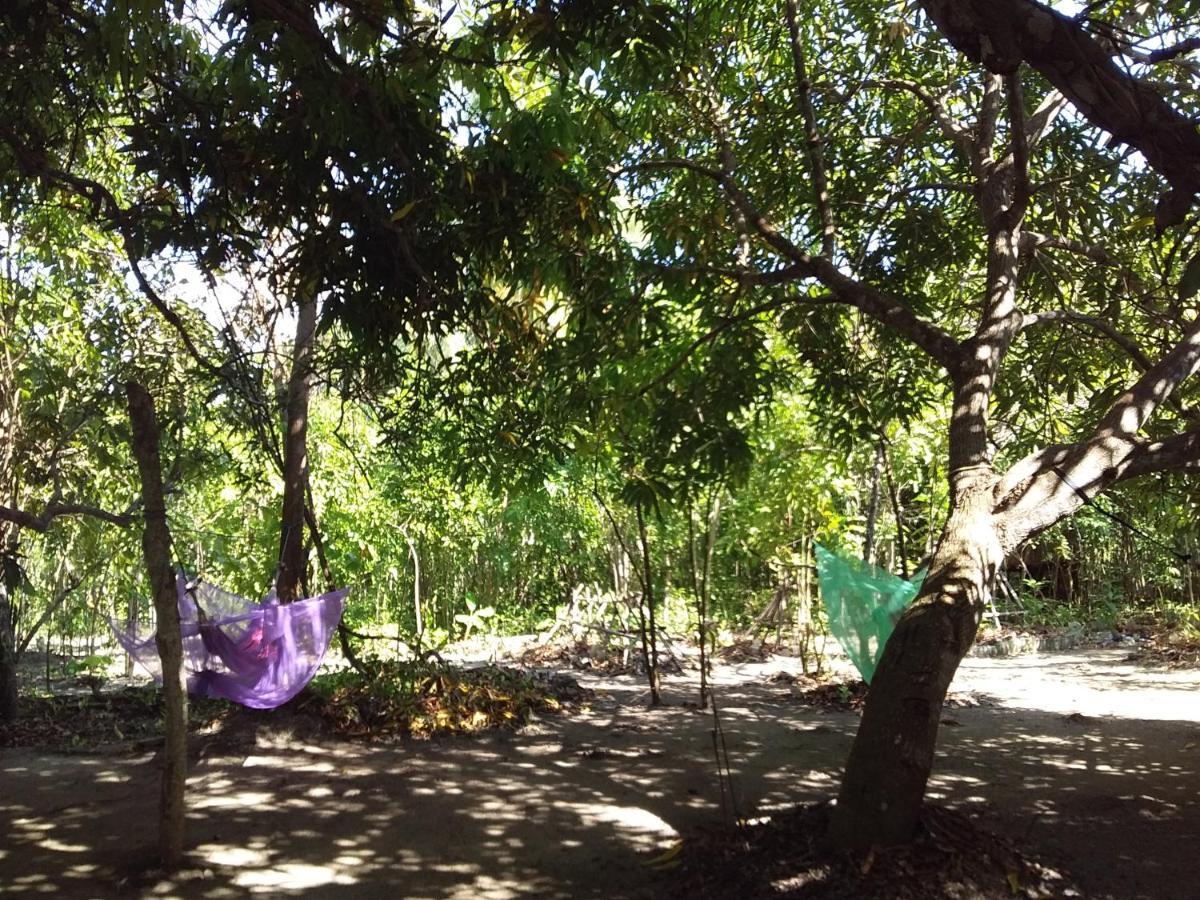 Eco-Camping Mango Feliz Rincon Del Mar San Onofre Exterior photo