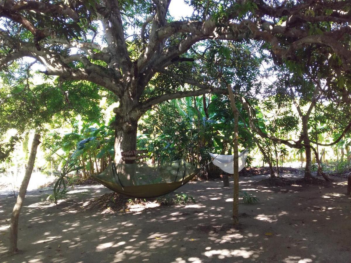 Eco-Camping Mango Feliz Rincon Del Mar San Onofre Exterior photo