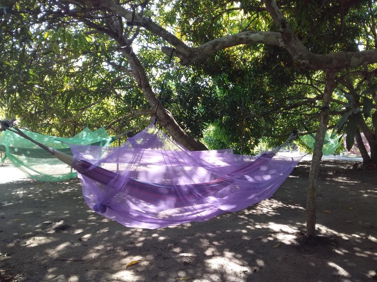 Eco-Camping Mango Feliz Rincon Del Mar San Onofre Exterior photo
