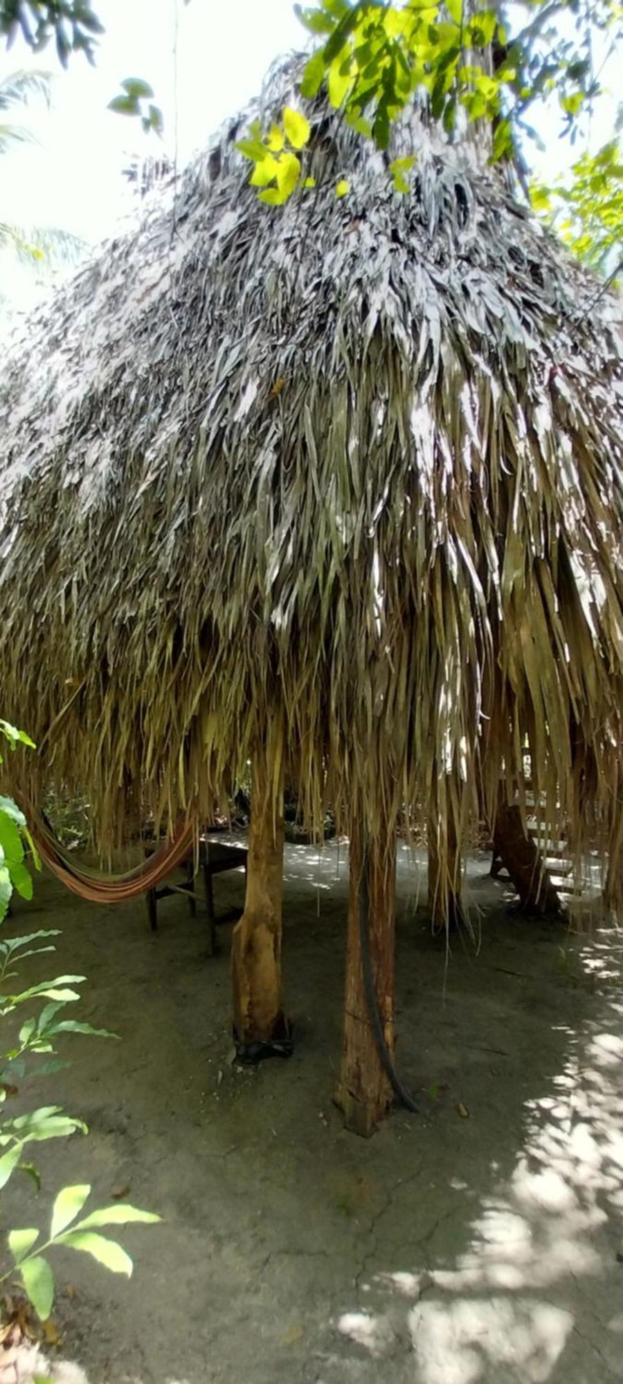 Eco-Camping Mango Feliz Rincon Del Mar San Onofre Exterior photo